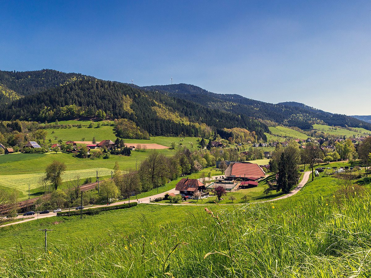 Schwarzwald